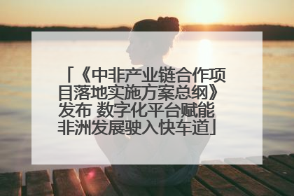 《中非产业链合作项目落地实施方案总纲》发布 数字化平台赋能非洲发展驶入快车道