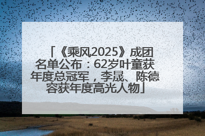 《乘风2025》成团名单公布：62岁叶童获年度总冠军，李晟、陈德容获年度高光人物