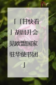 「甘快看」胡昌升会见欧盟国家驻华使节团