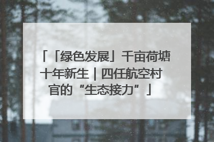 「绿色发展」千亩荷塘 十年新生｜四任航空村官的“生态接力”