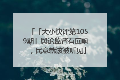 「大小快评第1059期」舆论监督有回响，民意就该被听见