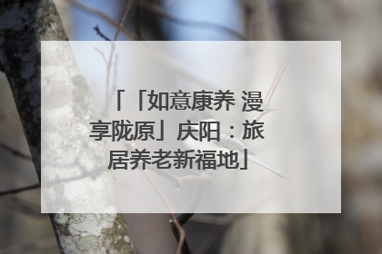 「如意康养 漫享陇原」庆阳：旅居养老新福地