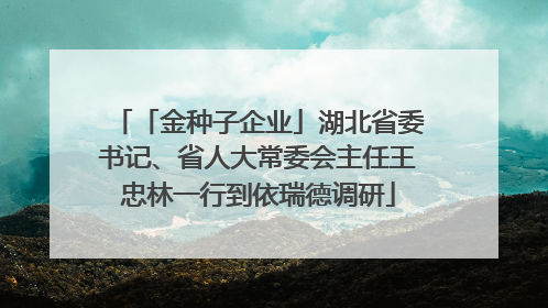 「金种子企业」湖北省委书记、省人大常委会主任王忠林一行到依瑞德调研