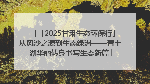 「2025甘肃生态环保行」从风沙之源到生态绿洲——青土湖华丽转身书写生态新篇