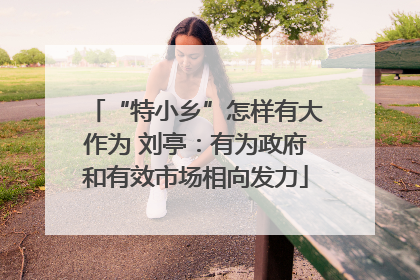 “特小乡”怎样有大作为 刘亭：有为政府和有效市场相向发力