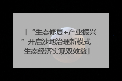 “生态修复+产业振兴”开启沙地治理新模式 生态经济实现双效益