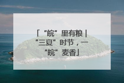 “皖”里有粮｜“三夏”时节，一“皖”麦香