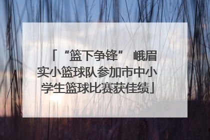 “篮下争锋” 峨眉实小篮球队参加市中小学生篮球比赛获佳绩