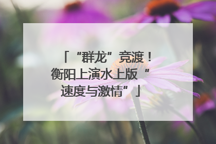“群龙”竞渡！衡阳上演水上版“速度与激情”
