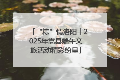“粽”情洛阳丨2025年嵩县端午文旅活动精彩纷呈
