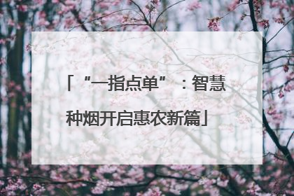 “一指点单”：智慧种烟开启惠农新篇