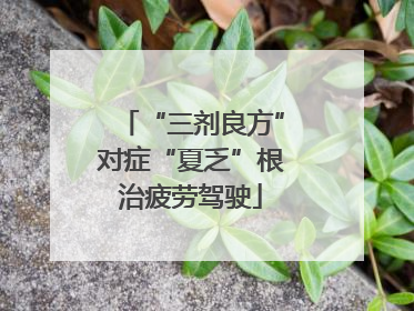 “三剂良方”对症“夏乏”根治疲劳驾驶