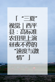 “三夏”视觉｜西平县：高标准农田里上演昼夜不停的“速度与激情”