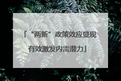 “两新”政策效应显现 有效激发内需潜力