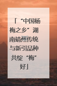 “中国杨梅之乡”湖南靖州传统与新引品种共绽“梅”好