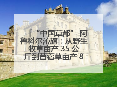 “中国草都” 阿鲁科尔沁旗：从野生牧草亩产 35 公斤到苜蓿草亩产 800 公斤以上
