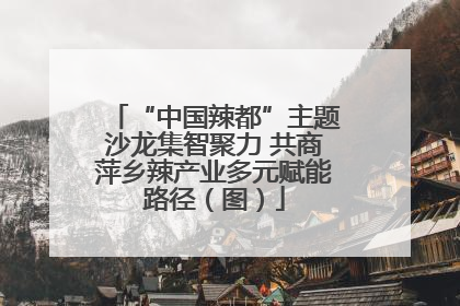 “中国辣都”主题沙龙集智聚力 共商萍乡辣产业多元赋能路径（图）
