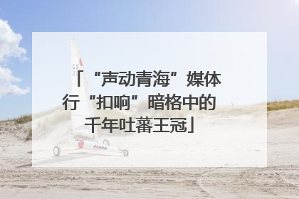 “声动青海”媒体行“扣响”暗格中的千年吐蕃王冠