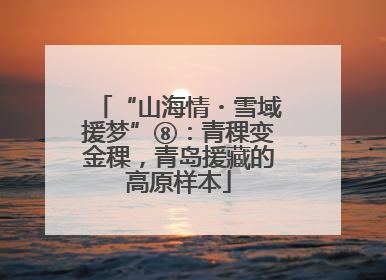 “山海情・雪域援梦”⑧：青稞变金稞，青岛援藏的高原样本