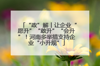 “政”解丨让企业“愿升”“敢升”“会升”！河南多举措支持企业“小升规”