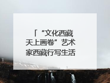 “文化西藏 天上画卷”艺术家西藏行写生活动在拉萨启动