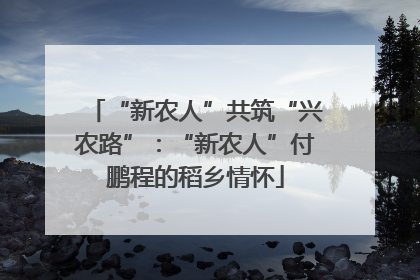 “新农人”共筑“兴农路”：“新农人”付鹏程的稻乡情怀