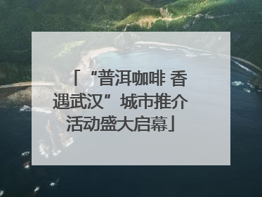 “普洱咖啡 香遇武汉”城市推介活动盛大启幕