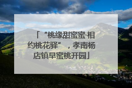 “桃缘甜蜜蜜·相约桃花驿”，孝南杨店镇早蜜桃开园