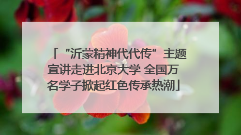 “沂蒙精神代代传”主题宣讲走进北京大学 全国万名学子掀起红色传承热潮