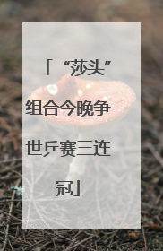 “莎头”组合今晚争世乒赛三连冠