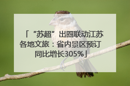 “苏超”出圈联动江苏各地文旅：省内景区预订同比增长305%