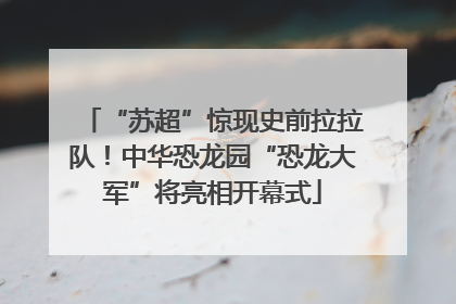 “苏超”惊现史前拉拉队！中华恐龙园“恐龙大军”将亮相开幕式