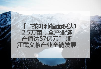 “茶叶种植面积达12.5万亩，全产业链产值达57亿元” 浙江武义茶产业全链发展“加速度”