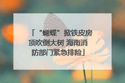 “蝴蝶”掀铁皮房顶吹倒大树 海南消防部门紧急排险