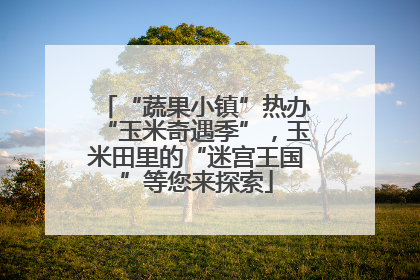 “蔬果小镇”热办“玉米奇遇季”，玉米田里的“迷宫王国”等您来探索