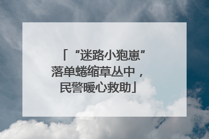 “迷路小狍崽”落单蜷缩草丛中，民警暖心救助