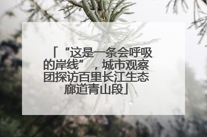 “这是一条会呼吸的岸线”，城市观察团探访百里长江生态廊道青山段
