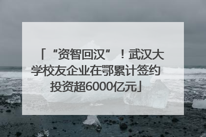 “资智回汉”！武汉大学校友企业在鄂累计签约投资超6000亿元