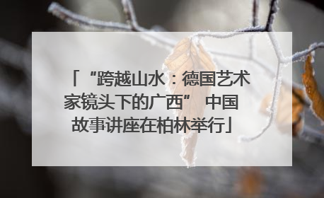 “跨越山水：德国艺术家镜头下的广西” 中国故事讲座在柏林举行