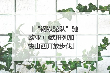 “钢铁驼队”驰欧亚 中欧班列加快山西开放步伐