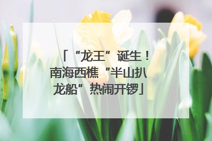 “龙王”诞生！南海西樵“半山扒龙船”热闹开锣