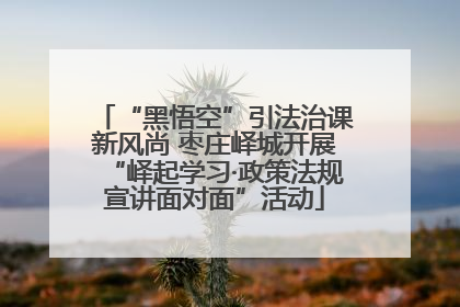 “黑悟空”引法治课新风尚 枣庄峄城开展“峄起学习·政策法规宣讲面对面”活动