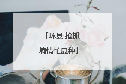 环县 抢抓墒情忙夏种