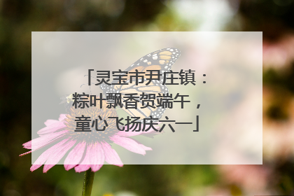 灵宝市尹庄镇：粽叶飘香贺端午，童心飞扬庆六一