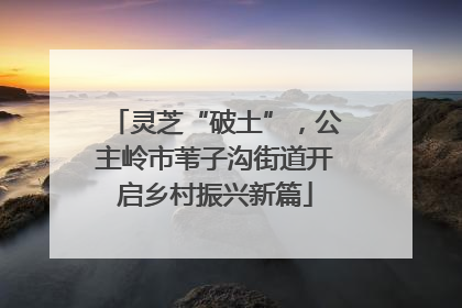 灵芝“破土”，公主岭市苇子沟街道开启乡村振兴新篇