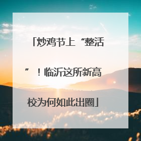 炒鸡节上“整活”！临沂这所新高校为何如此出圈