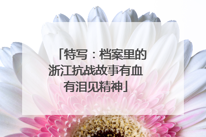 特写：档案里的浙江抗战故事有血有泪见精神