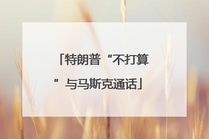 特朗普“不打算”与马斯克通话