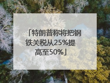 特朗普称将把钢铁关税从25%提高至50%