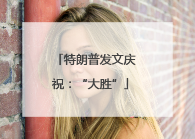 特朗普发文庆祝：“大胜”